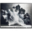 Jonathan Charles Accessories Silver Conch Photography Print House of Isabella UK