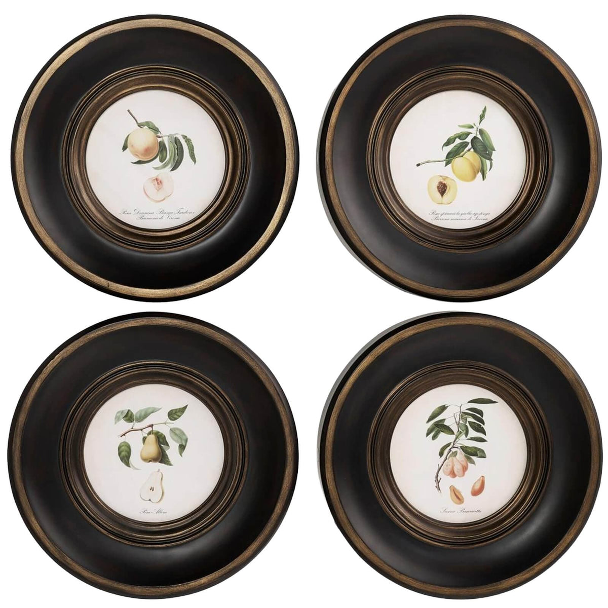 Jonathan Charles Accessories Vintage Fruit No. 1 Framed Art - Set of 4 House of Isabella UK