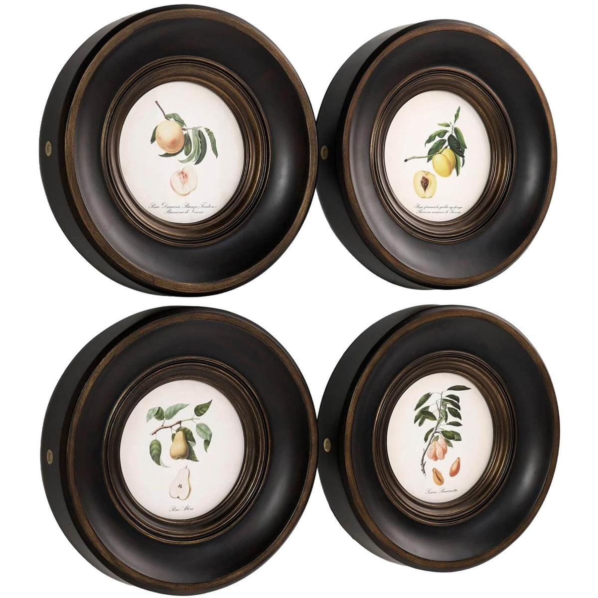 Jonathan Charles Accessories Vintage Fruit No. 1 Framed Art - Set of 4 House of Isabella UK