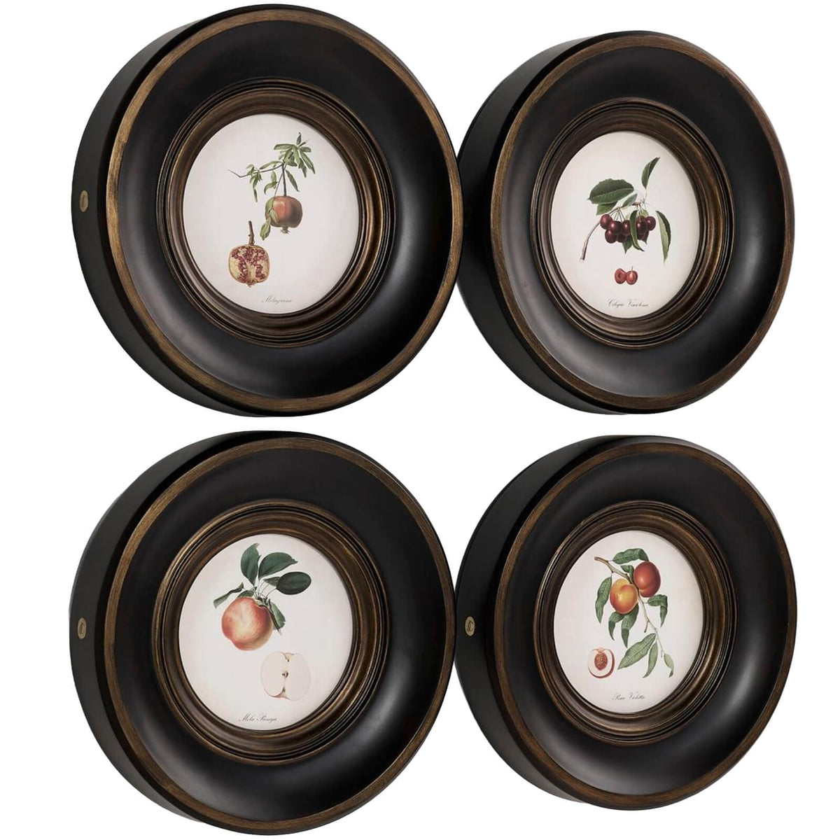 Jonathan Charles Accessories Vintage Fruit No. 2 Framed Art - Set of 4 House of Isabella UK