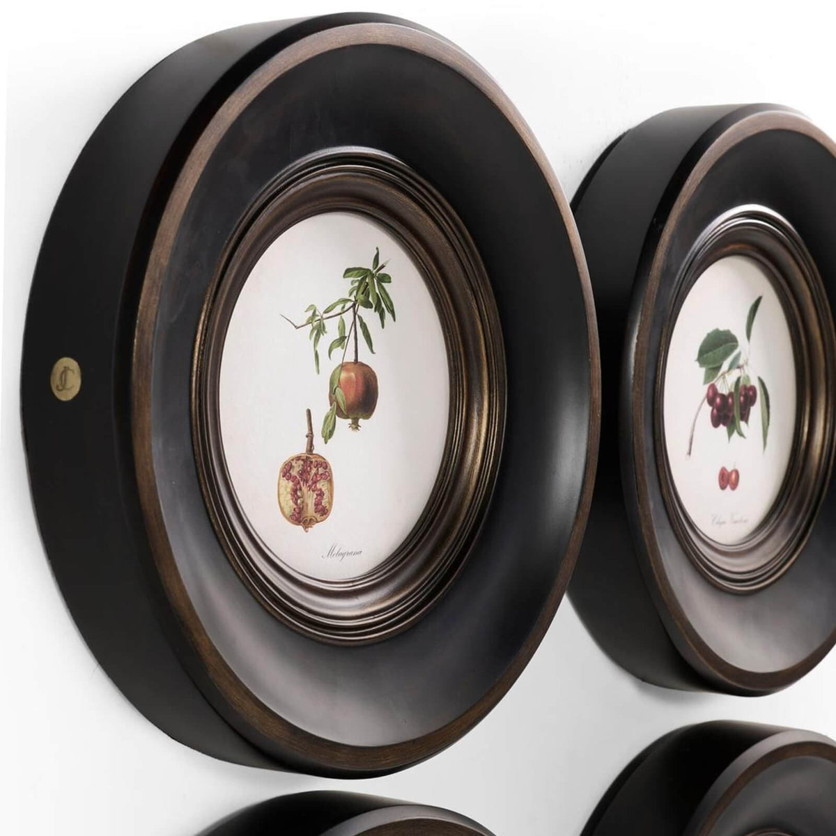 Jonathan Charles Accessories Vintage Fruit No. 2 Framed Art - Set of 4 House of Isabella UK