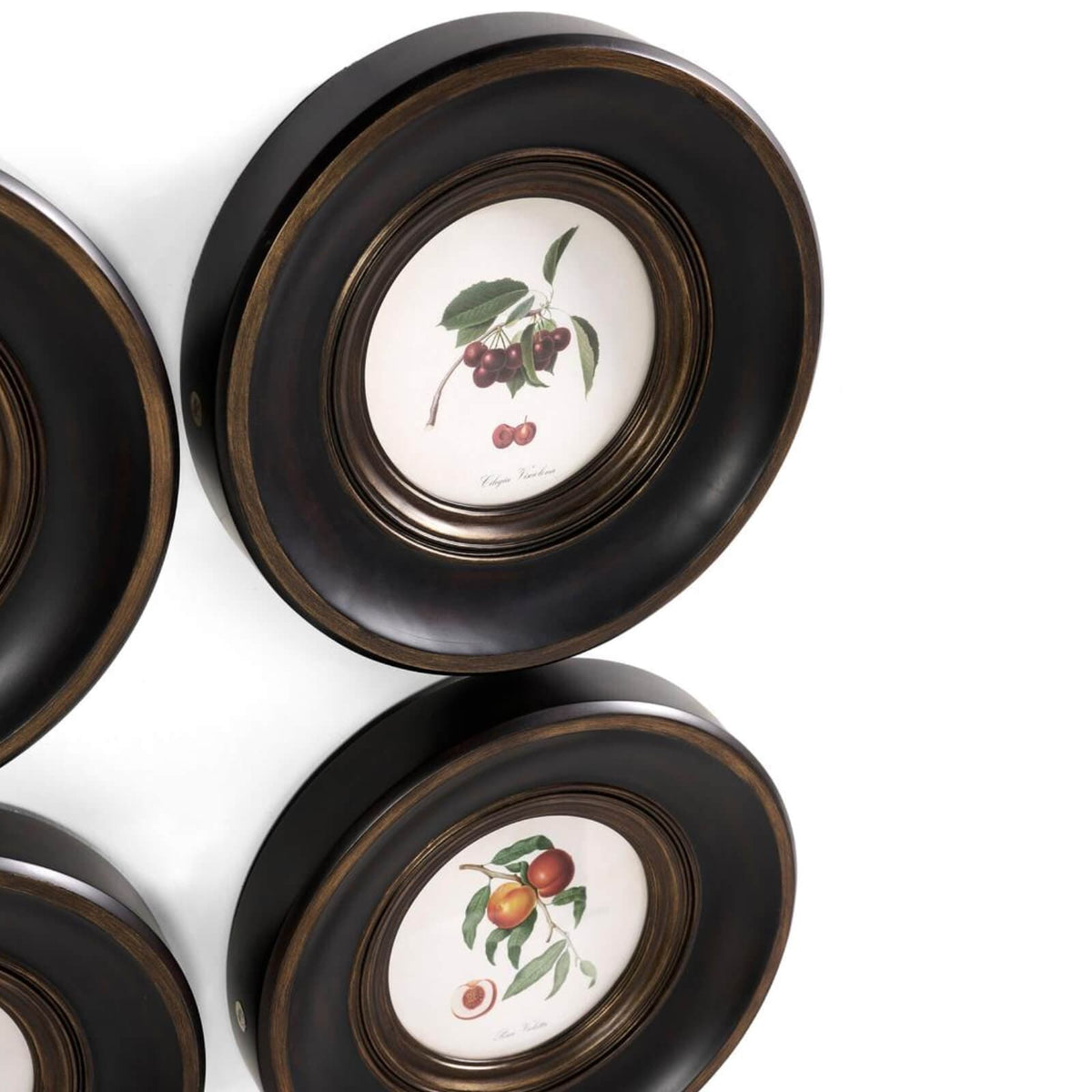 Jonathan Charles Accessories Vintage Fruit No. 2 Framed Art - Set of 4 House of Isabella UK