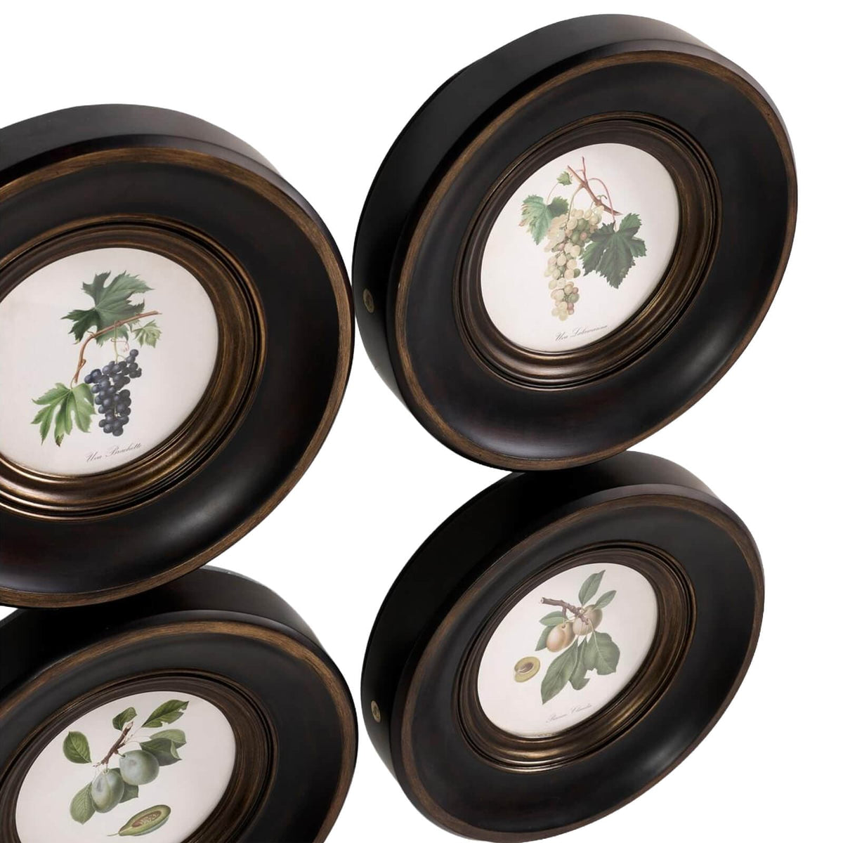 Jonathan Charles Accessories Vintage Fruit No. 3 Framed Art - Set of 4 House of Isabella UK