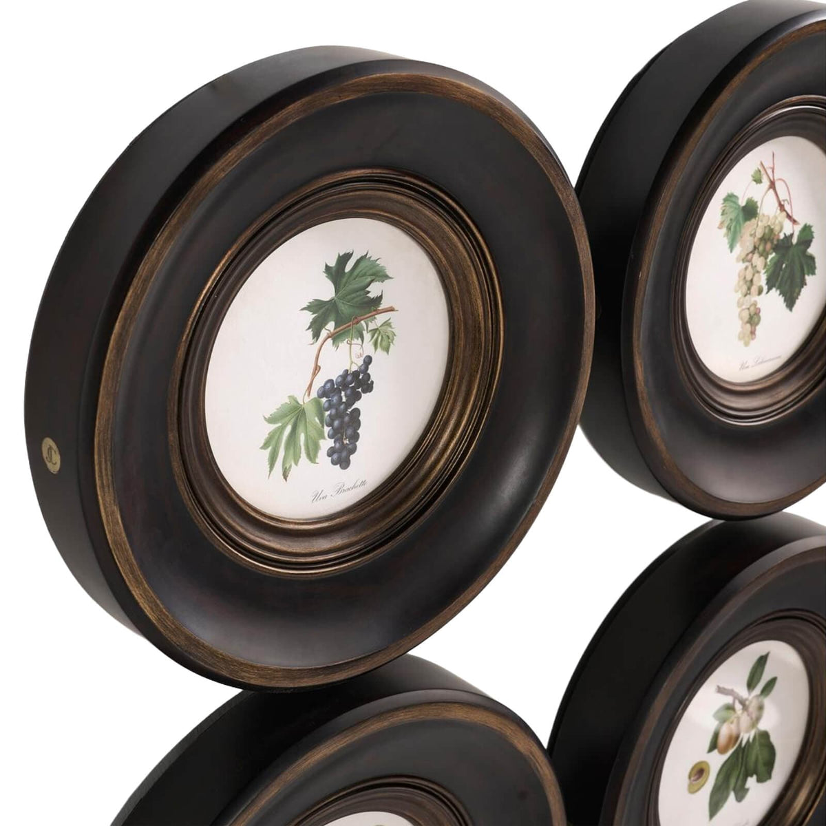 Jonathan Charles Accessories Vintage Fruit No. 3 Framed Art - Set of 4 House of Isabella UK