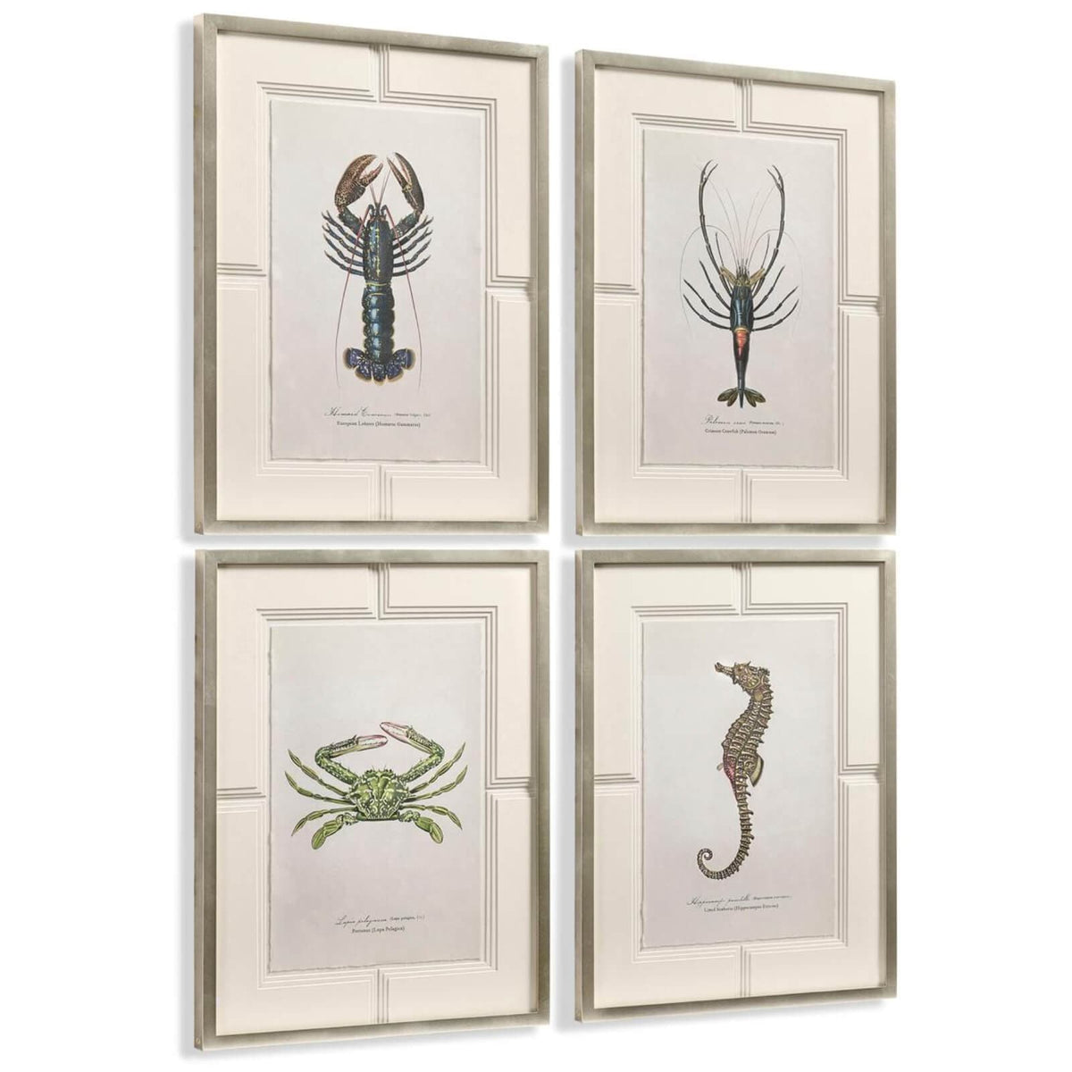 Jonathan Charles Accessories Vintage Marine Animals Framed Prints - Set of 4 House of Isabella UK