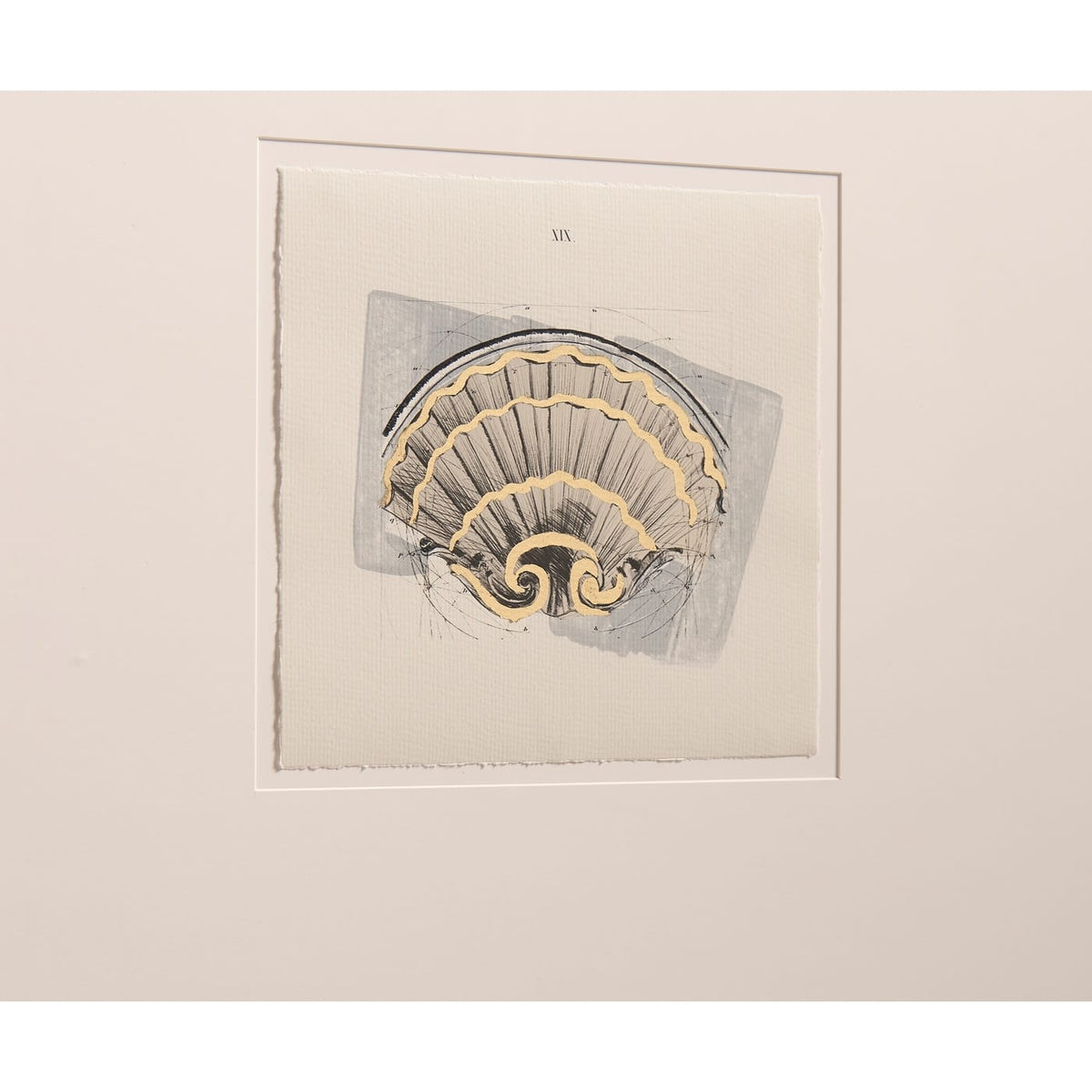 Jonathan Charles Decor Architectural Clamshells Framed Prints - Set of 4 House of Isabella UK