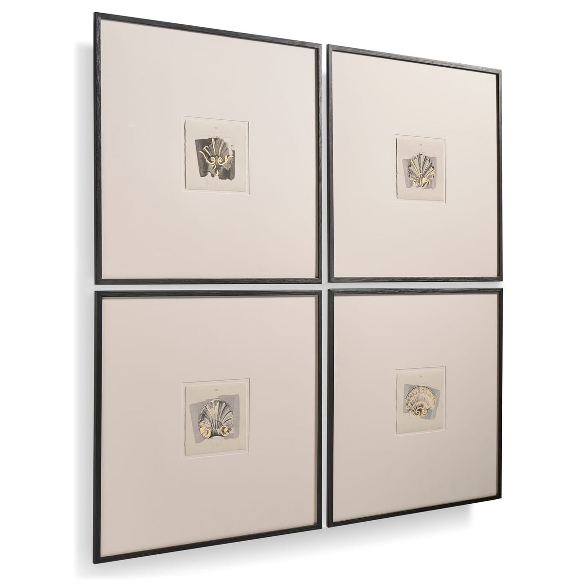 Jonathan Charles Decor Architectural Clamshells Framed Prints - Set of 4 House of Isabella UK