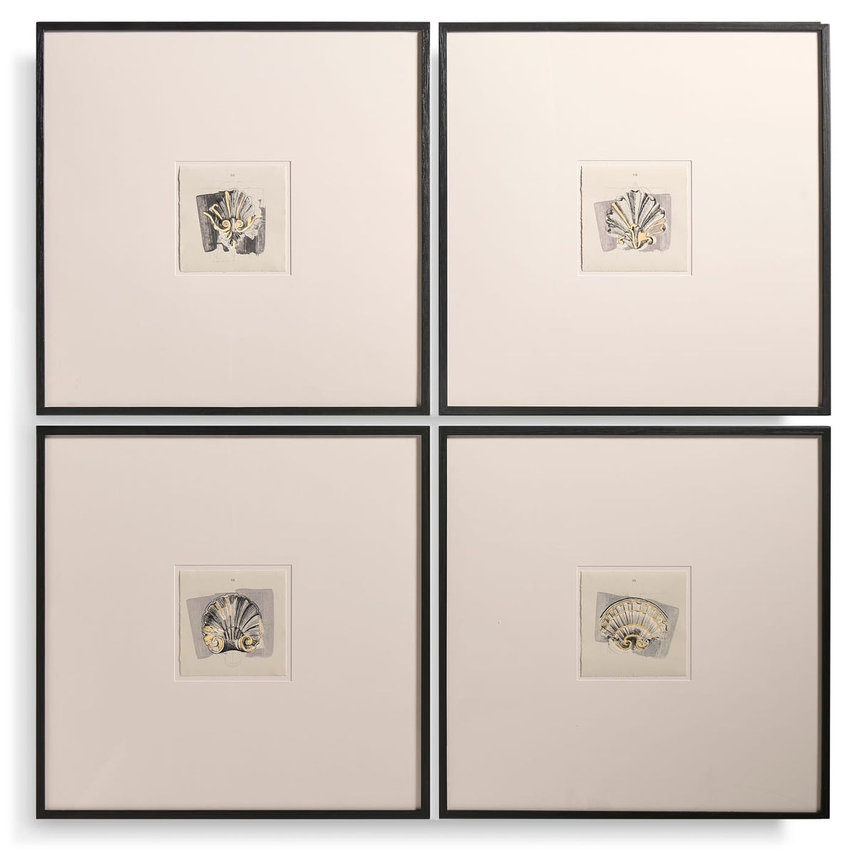 Jonathan Charles Decor Architectural Clamshells Framed Prints - Set of 4 House of Isabella UK