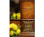 Jonathan Charles Decor Square Wall Mirror Sherwood House of Isabella UK