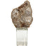 Keiichi Accessories Bram Petrified Wood Sculpture - Medium House of Isabella UK