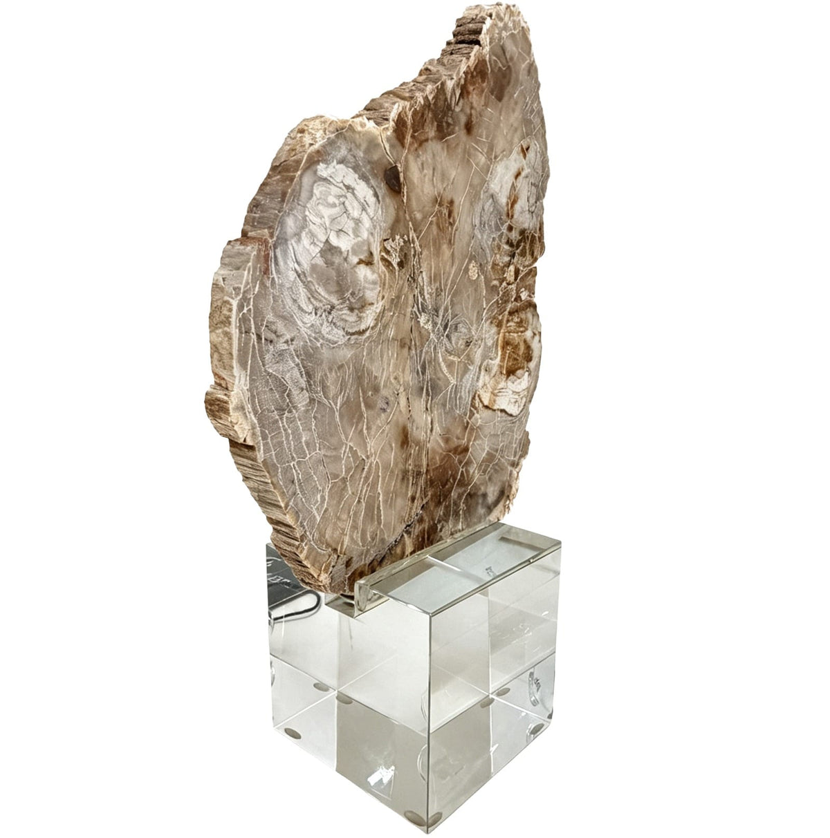 Keiichi Accessories Bram Petrified Wood Sculpture - Small House of Isabella UK