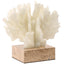 Keiichi Accessories Maris Coral Ornament House of Isabella UK