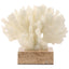 Keiichi Accessories Maris Coral Ornament House of Isabella UK