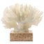 Keiichi Accessories Maris Coral Ornament House of Isabella UK