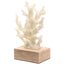 Keiichi Accessories Solace Coral Ornament House of Isabella UK