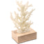 Keiichi Accessories Solace Coral Ornament House of Isabella UK