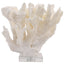 Keiichi Accessories Tide Artificial Coral Sculpture House of Isabella UK