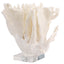 Keiichi Accessories Tide Artificial Coral Sculpture House of Isabella UK