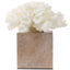 Keiichi Accessories Vela Coral Ornament House of Isabella UK