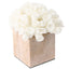 Keiichi Accessories Vela Coral Ornament House of Isabella UK