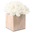 Keiichi Accessories Vela Coral Ornament House of Isabella UK