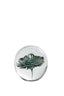 Light & Living Accessories Ornament 8x8 cm FLOWER glass green House of Isabella UK
