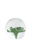 Light & Living Accessories Ornament 8x8 cm FLOWER glass green+pink House of Isabella UK