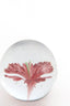 Light & Living Accessories Ornament 8x8 cm FLOWER glass pink+green House of Isabella UK