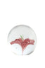 Light & Living Accessories Ornament 8x8 cm FLOWER glass pink+green House of Isabella UK