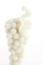 Light & Living Accessories Ornament on base 15x13x35 cm GRAPE cream+antique bronze House of Isabella UK