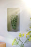Light & Living Accessories Ornament on base 15x13x35 cm GRAPE green+antique bronze House of Isabella UK