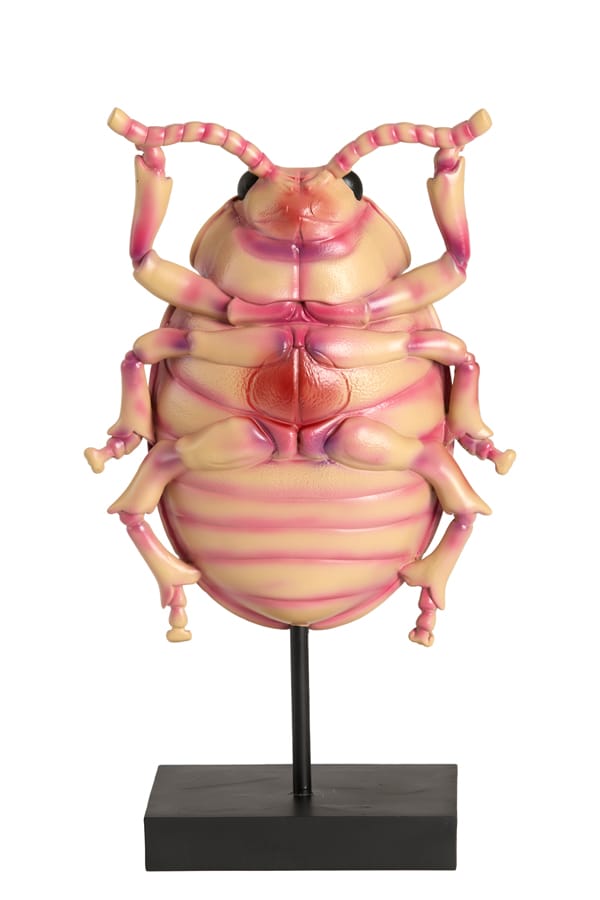 Light & Living Accessories Ornament on base 22x12x42 cm BEETLE light pink+black House of Isabella UK