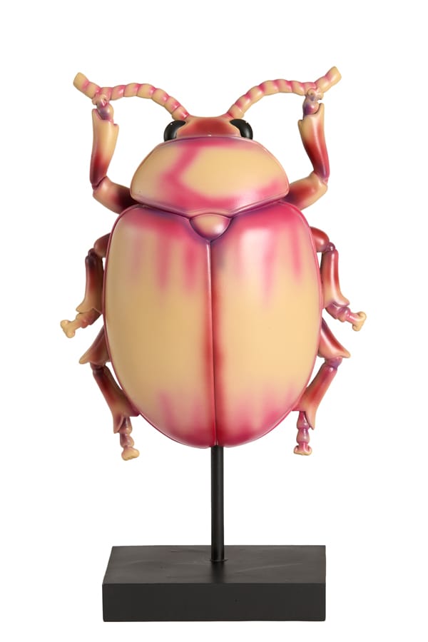 Light & Living Accessories Ornament on base 22x12x42 cm BEETLE light pink+black House of Isabella UK