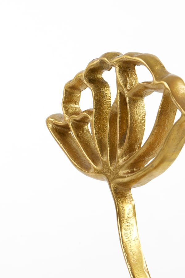 Light & Living Accessories Ornament on base 22x6x36 cm PAPAVERU matt gold House of Isabella UK