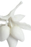 Light & Living Accessories Ornament on base 23,5x13x37 cm MANGO cream+black House of Isabella UK