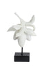 Light & Living Accessories Ornament on base 23,5x13x37 cm MANGO cream+black House of Isabella UK