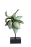Light & Living Accessories Ornament on base 23,5x13x37 cm MANGO green+black House of Isabella UK