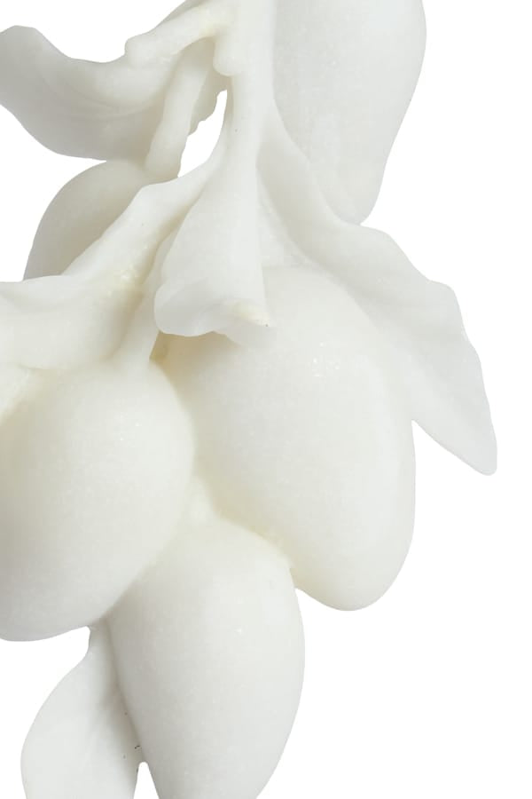 Light & Living Accessories Ornament on base 23,5x15x43,5 cm MANGO cream+black House of Isabella UK