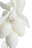 Light & Living Accessories Ornament on base 23,5x15x43,5 cm MANGO cream+black House of Isabella UK
