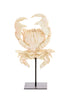 Light & Living Accessories Ornament on base 23x12,5x42,5 cm CRAB light coral House of Isabella UK
