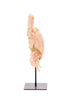 Light & Living Accessories Ornament on base 23x12,5x42,5 cm CRAB light coral House of Isabella UK