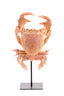 Light & Living Accessories Ornament on base 23x12,5x42,5 cm CRAB light coral House of Isabella UK