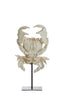 Light & Living Accessories Ornament on base 23x12,5x42,5 cm CRAB off white House of Isabella UK