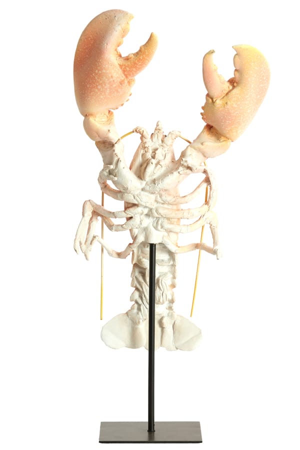 Light & Living Accessories Ornament on base 25x14x56,5 cm LOBSTER light coral House of Isabella UK