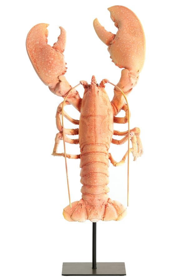Light & Living Accessories Ornament on base 25x14x56,5 cm LOBSTER light coral House of Isabella UK