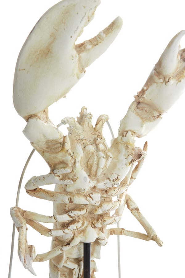 Light & Living Accessories Ornament on base 25x14x56,5 cm LOBSTER off white House of Isabella UK