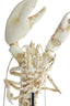 Light & Living Accessories Ornament on base 25x14x56,5 cm LOBSTER off white House of Isabella UK