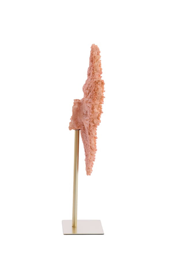Light & Living Accessories Ornament on base 37x31x61,5 cm CORAL coral+antique bronze House of Isabella UK