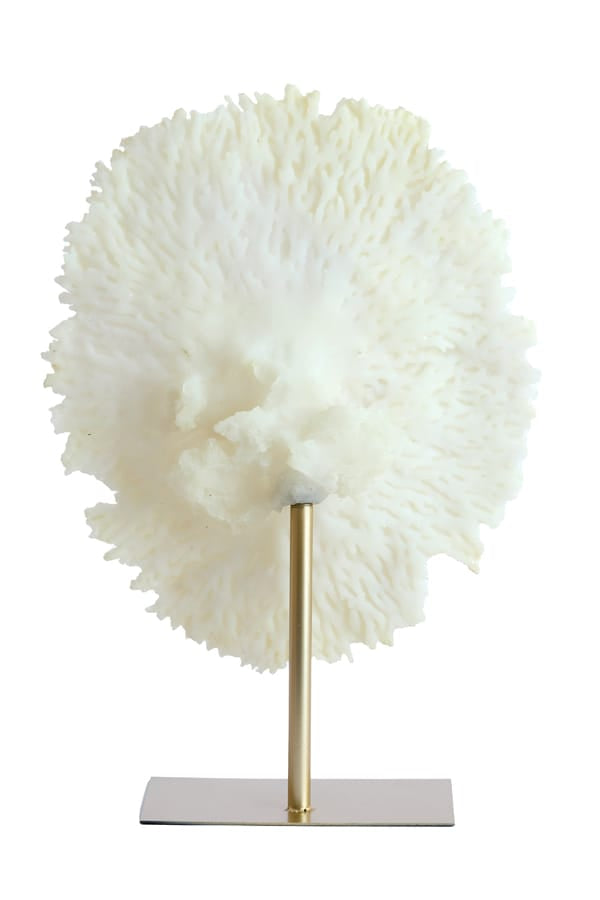 Light & Living Accessories Ornament on base 46x20x69 cm CORAL cream+antique bronze House of Isabella UK