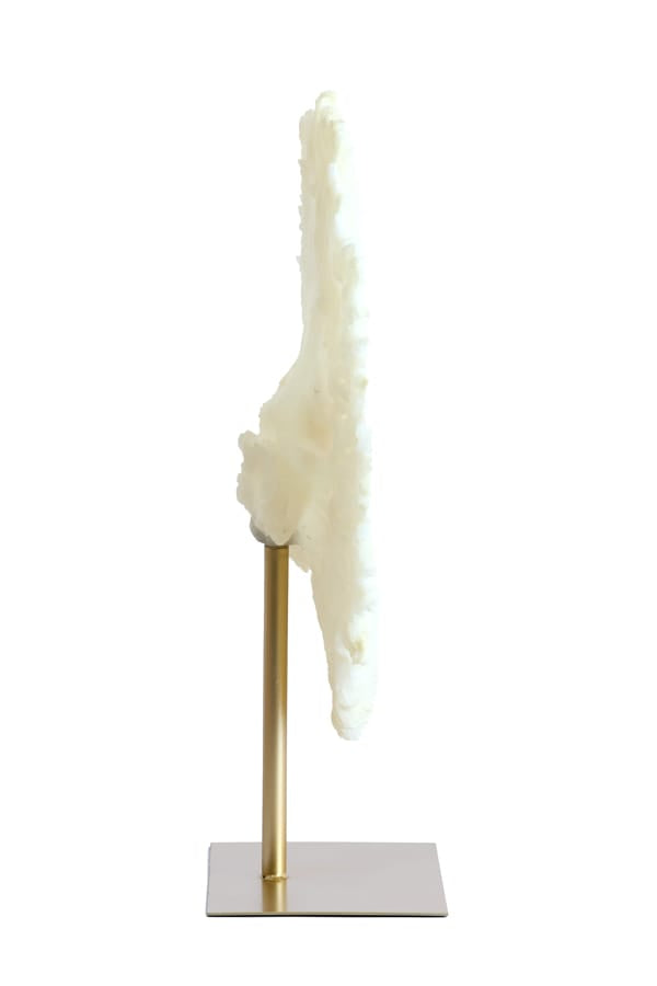 Light & Living Accessories Ornament on base 46x20x69 cm CORAL cream+antique bronze House of Isabella UK